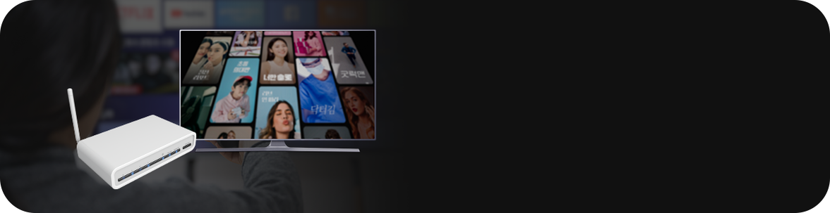 인터넷 · IPTV