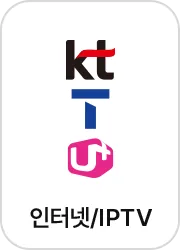 인터넷/IPTV
